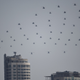 Illustration for article titled Photos of Chinas parade commemorating WWII shows off its full military force